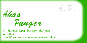 akos punger business card